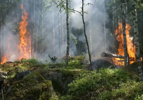 Arrêté protection des forêts contre les incendies