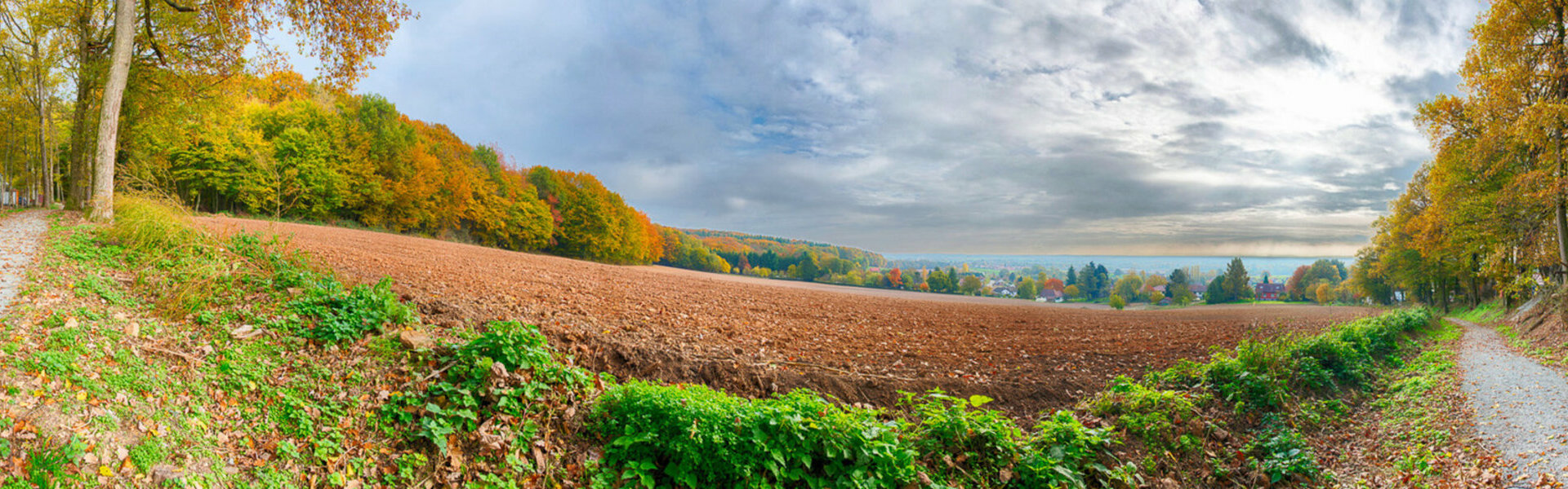 Vétrigne - Bourgogne Franche-Comté